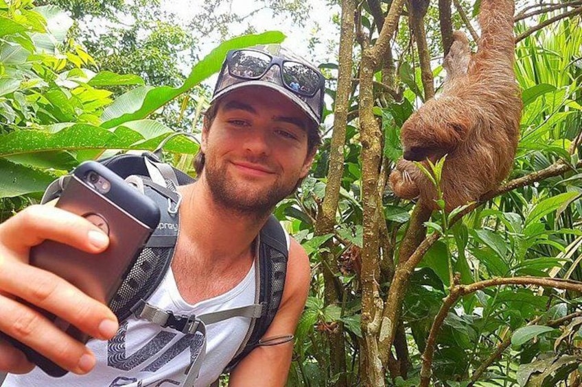 A person taking a selfie with a smartphone, wearing a cap and a backpack, in a lush green forest. 1