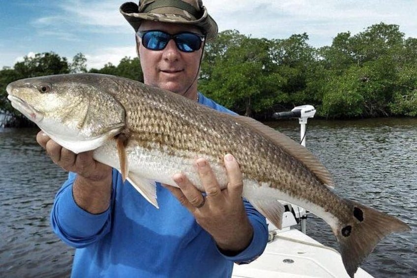 Sarasota Inshore Fishing Trip 1