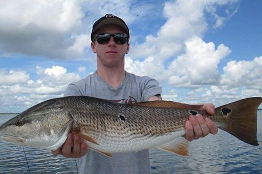 A person holding a large fish with a striped pattern. 5