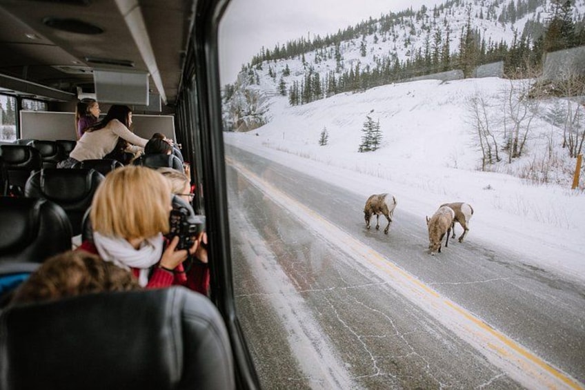 A bus interior with passengers observing a snowy landscape outside. 1