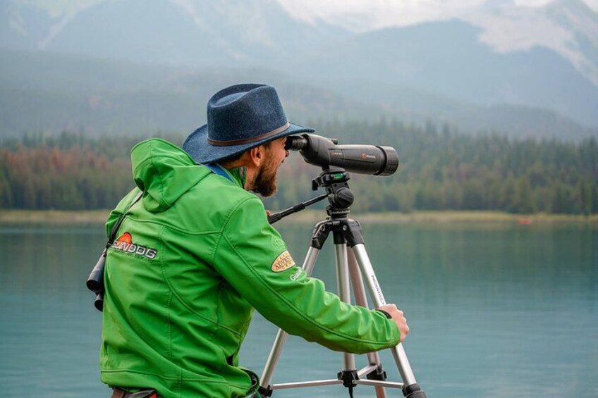 Discover Jasper and its Wildlife 4