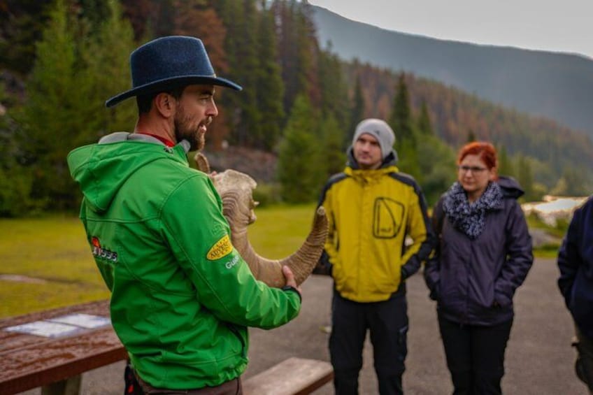 A person in a green jacket holding a sheep, standing by a picnic table in a mountainous area with people in the background. 2