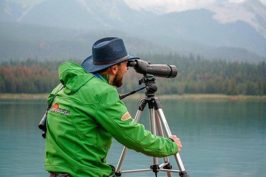 Discover Jasper and its Wildlife 3