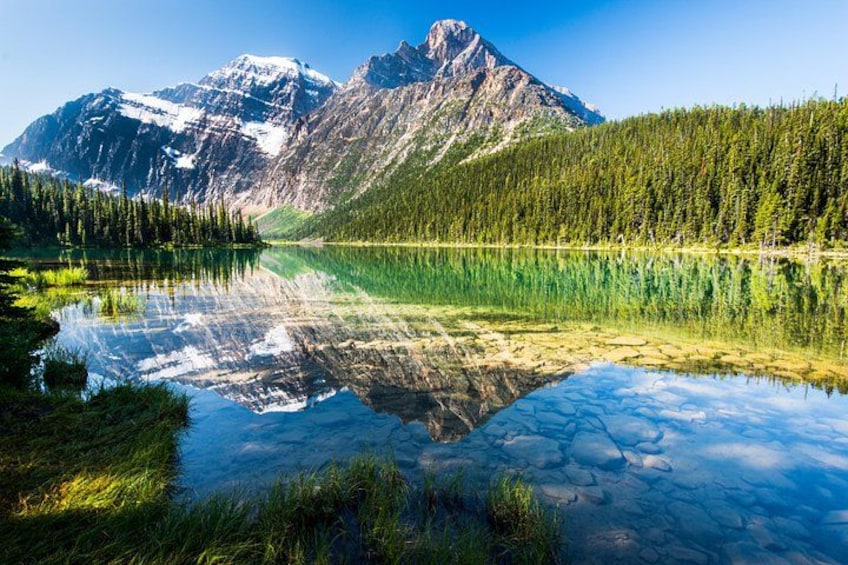 Edith Cavel reflection 1
