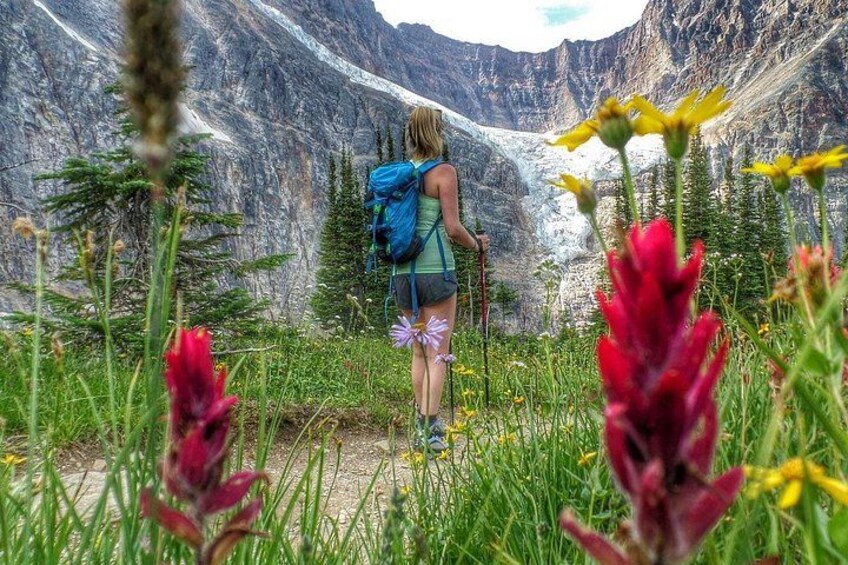 Wild Flowers Mt Edith Cavell 5