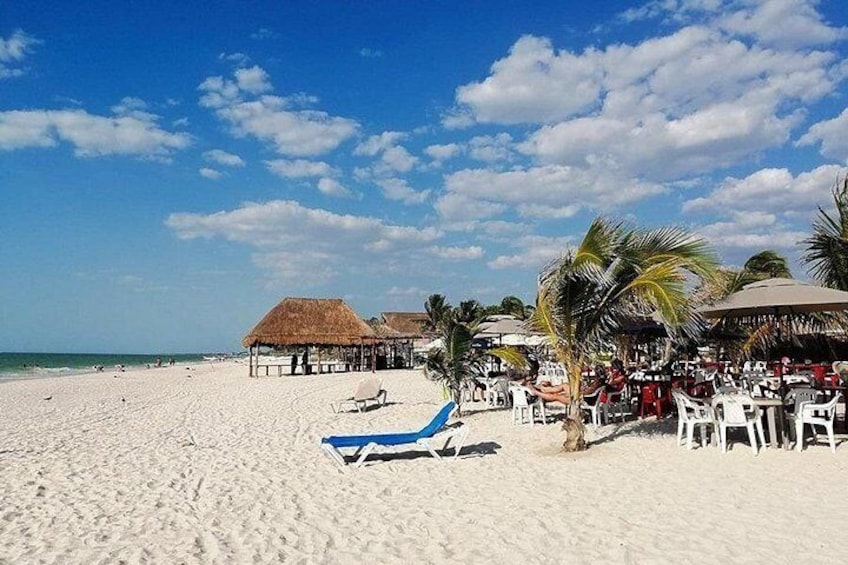 Ein Strand mit weißem Sand, Palmen und strohgedeckten Hütten. 2