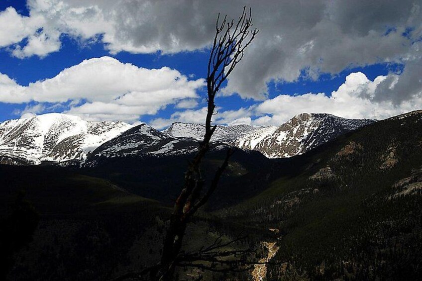 Small-Group Tour of the Rocky Mountain National Park from Denver 2