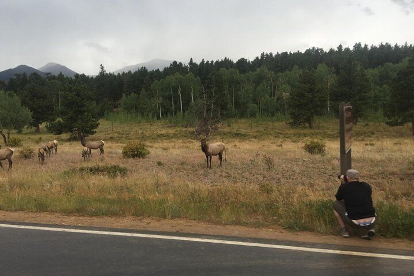 Small-Group Tour of the Rocky Mountain National Park from Denver 2