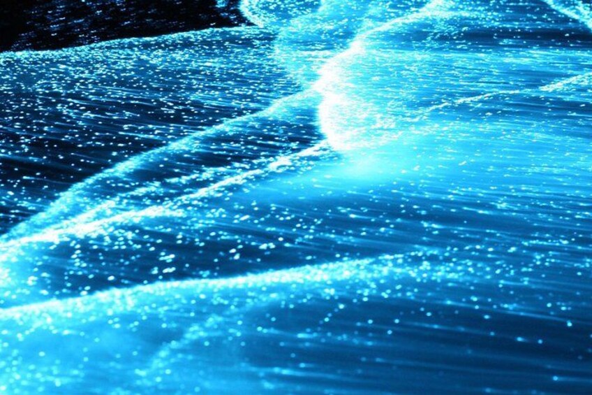 Preserving Baby Sea Turtles And Filling You With Energy In Bioluminescent Lights 2