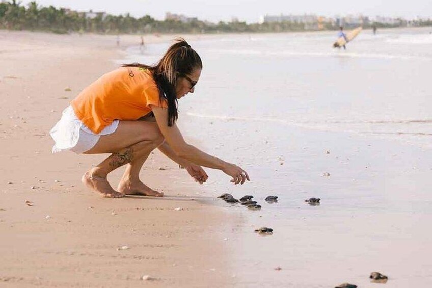 Una persona agachada en una playa arenosa, alcanzando pequeños objetos sobre la arena. 3