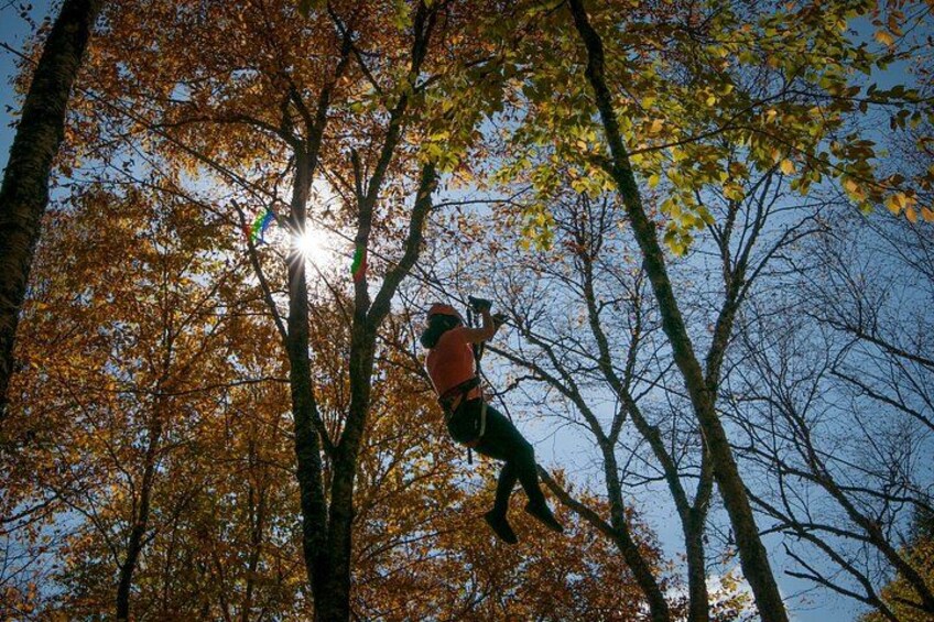 A person climbing a tree. 5