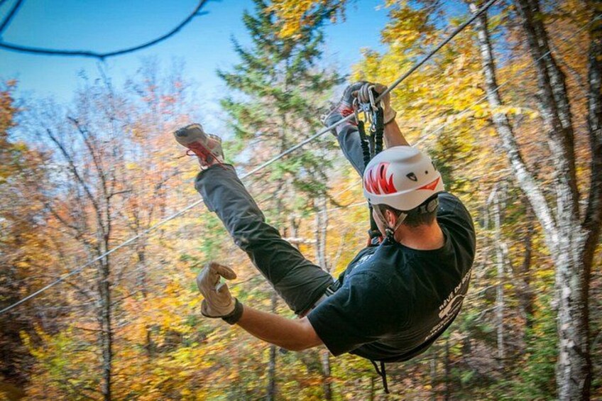 A person zip-lining through a forest with autumn foliage. 4