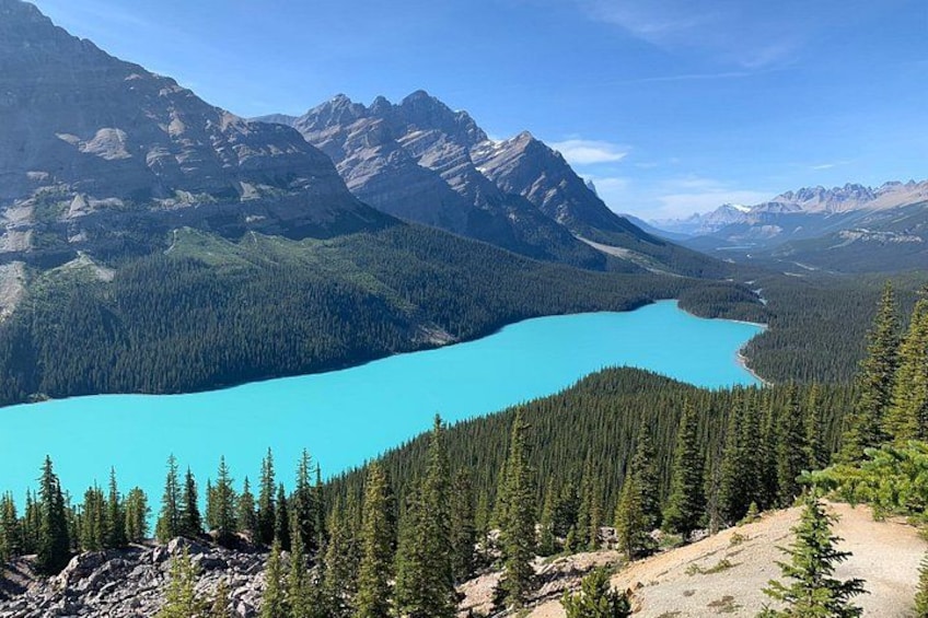 Lake Louise, Moraine Lake and the Icefields Parkway Full-Day Tour 1
