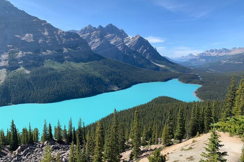 Lake Louise, Moraine Lake and the Icefields Parkway Full-Day Tour 1