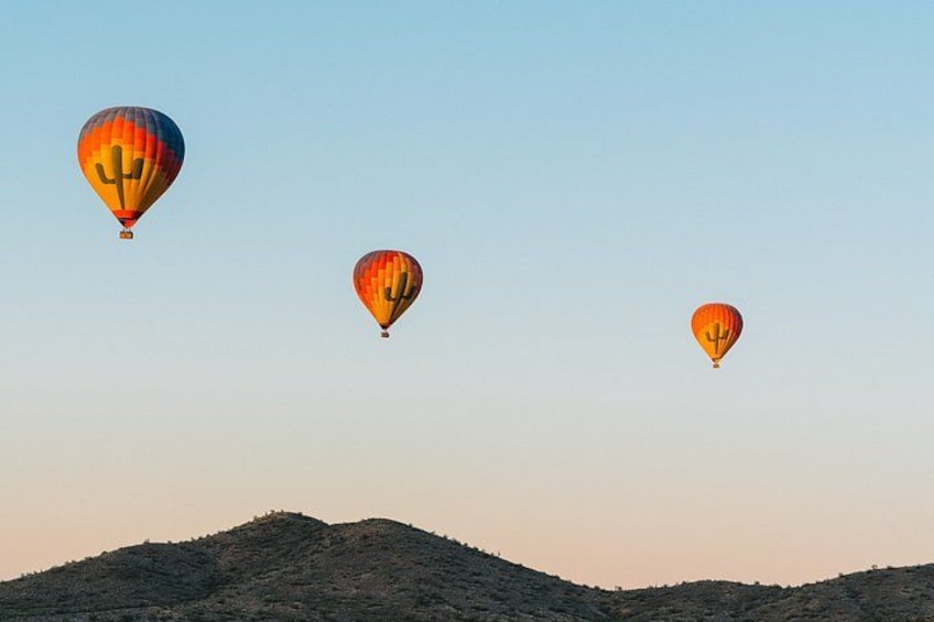 Three hot air balloons with cactus designs flying over a hilly landscape. 1