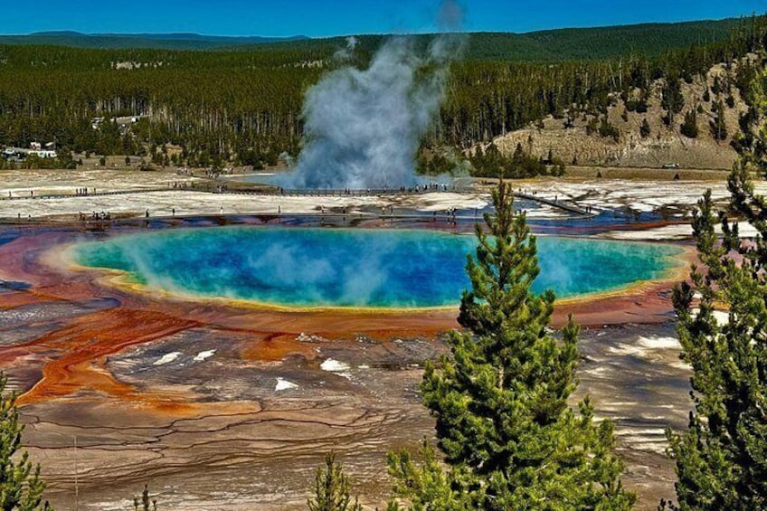 Half Day Yellowstone “Hot Spots” Deals From West Yellowstone 2