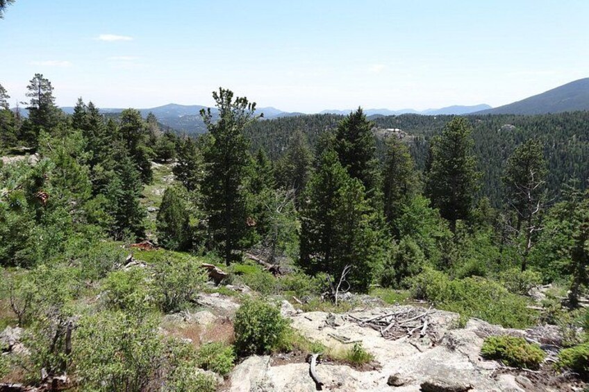 Hike the Rockies Half Day Tour 4
