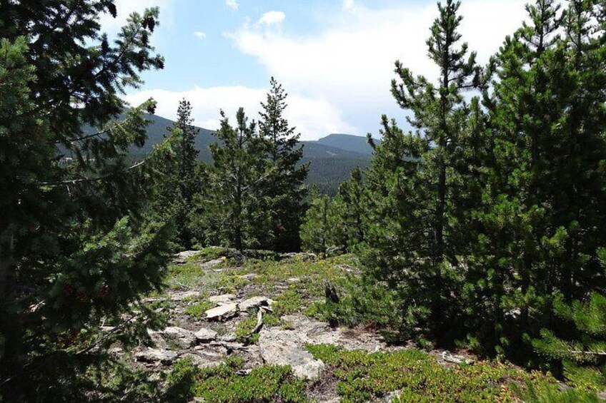 Hike the Rockies Half Day Tour 2