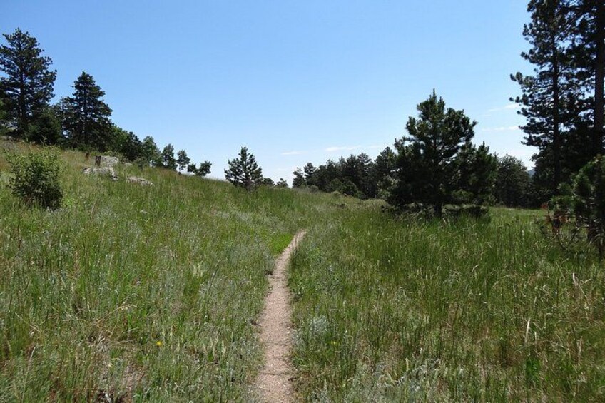 Hike the Rockies Half Day Tour 5