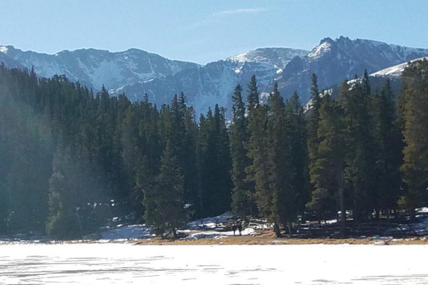 A mountainous landscape with dense coniferous forest and snow-capped peaks. 4