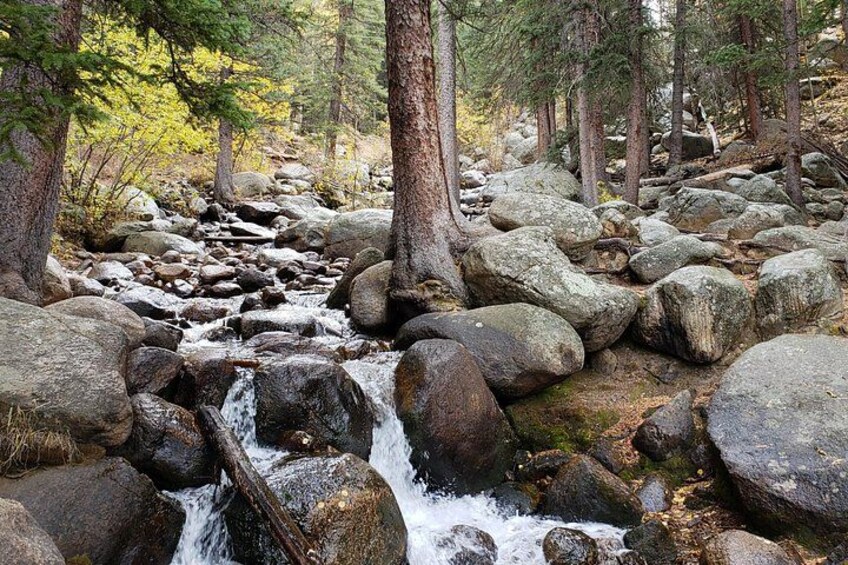 A forest stream with large rocks and trees. 2
