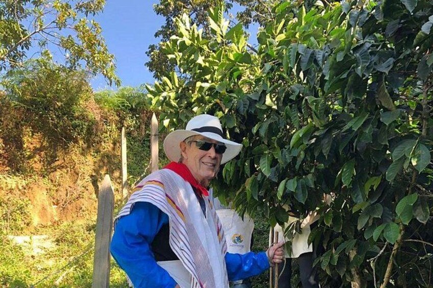 Private Jardin Trip: Colombian Coffee Tour & Tasting, Medellin 5