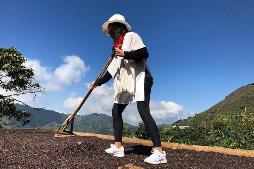A person working on a farm with a hoe, surrounded by a rural landscape with hills and trees. 4