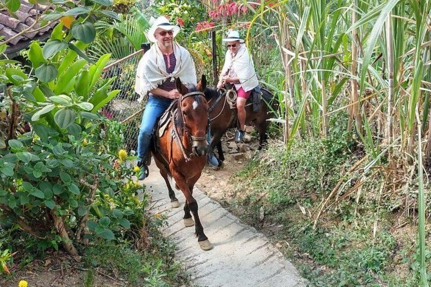 Horseback Riding Adventure with private transport from Medellin 4