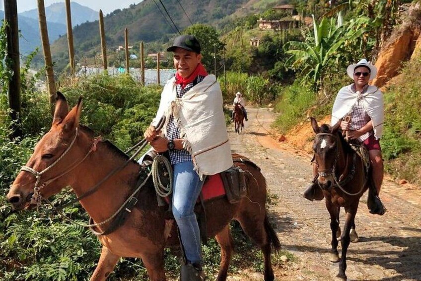 Horseback Riding Adventure with private transport from Medellin 2