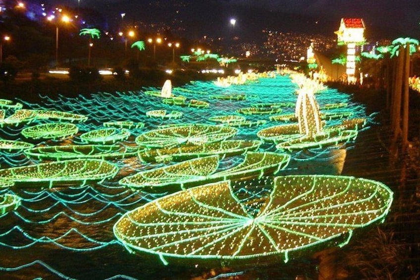 Estanques de nenúfares iluminados por la noche con una pagoda al fondo. 1