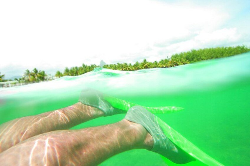 A person snorkeling with clear water and a tropical landscape in the background. 3