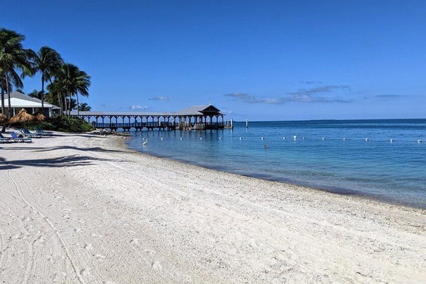 Una playa con arena blanca, un muelle, palmeras y un cielo azul despejado. 2