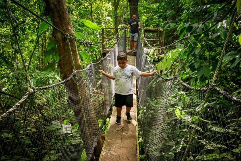 A person walking on a suspended bridge in a forest. 1