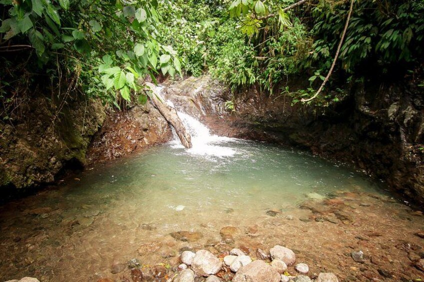 A clear stream with rocks and a waterfall in a forested area. 5