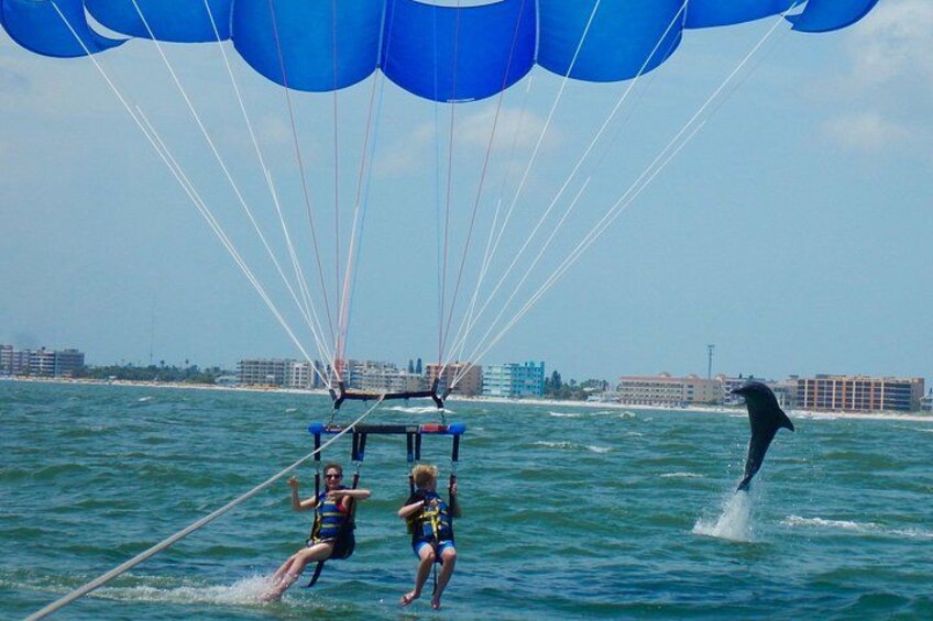 Dolphin watch 5