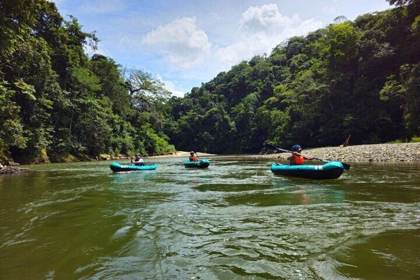 Three people kayaking on a river surrounded by dense forest. 2