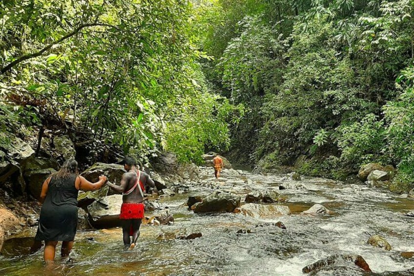 Chagres Rainforest 4