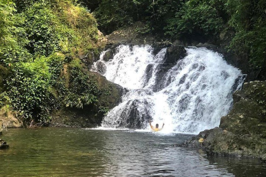 Chagres Rainforest 3