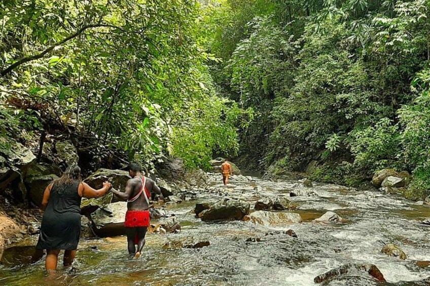 A river with people wading through it surrounded by dense greenery. 5