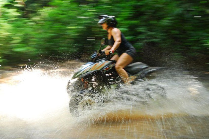 A person riding a watercraft through a shallow body of water, surrounded by greenery. 4