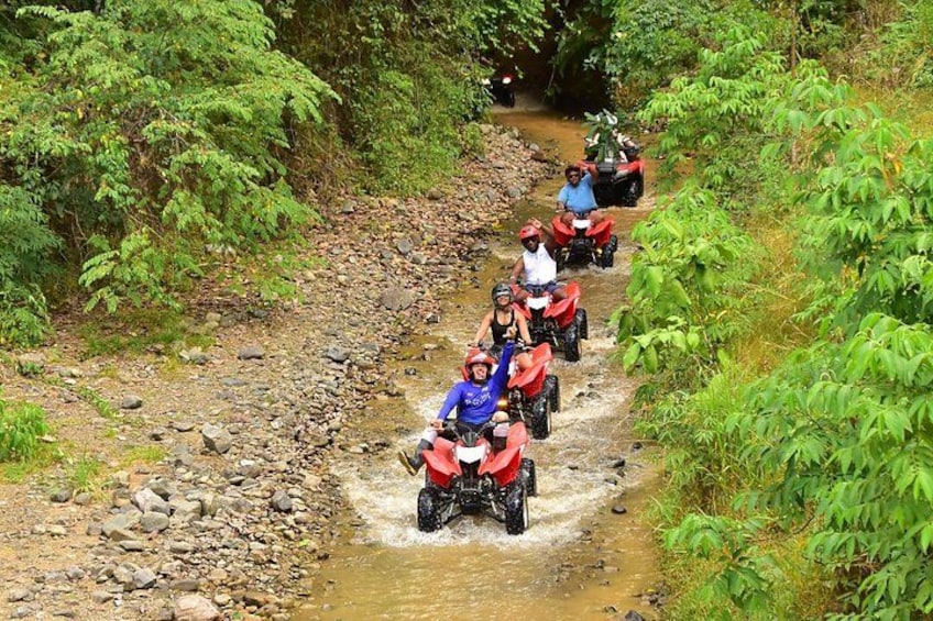 ATV in the Rainforest 2