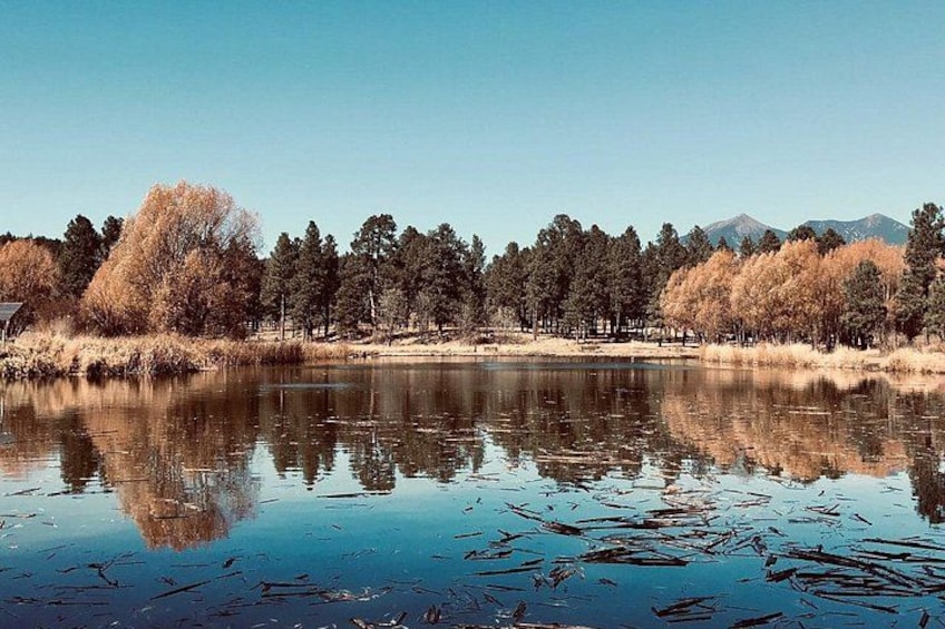 Un lac paisible où se reflètent les arbres et les montagnes qui se dressent à l’arrière-plan. 2
