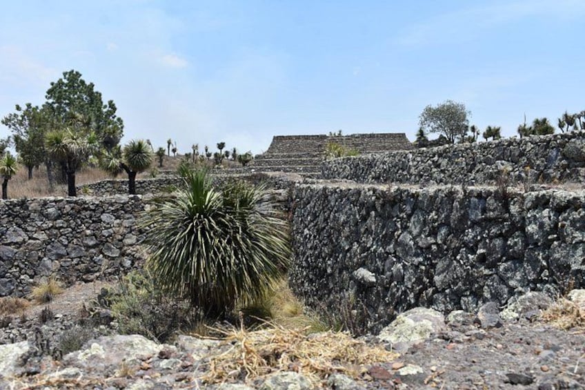 A rocky terrain with a large yucca plant, a stone wall, and a pyramid-like structure in the background. 3