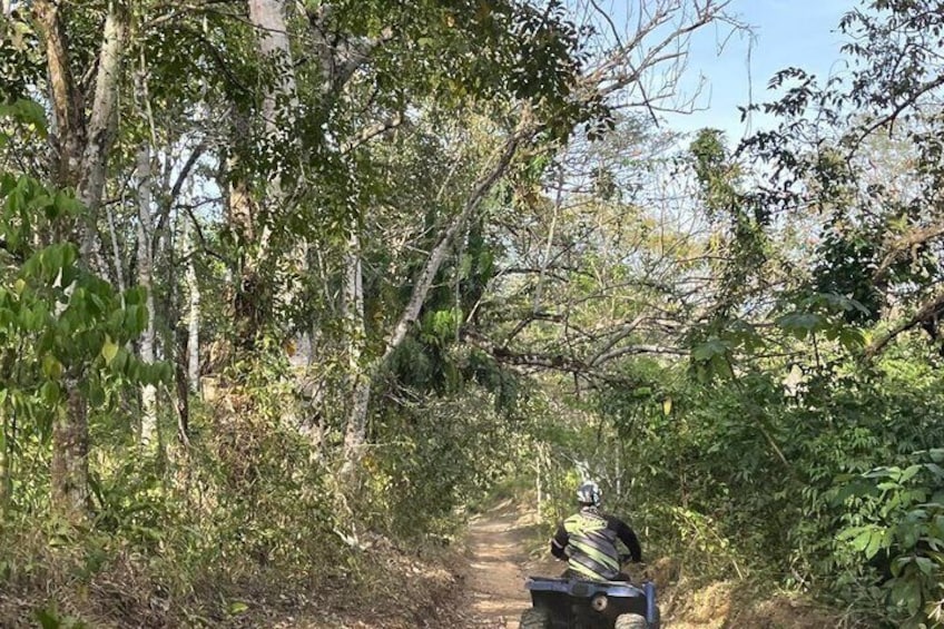 ATV River, Beach, Jungle Adventure and Crocodiles Hotspot from San Jose 5