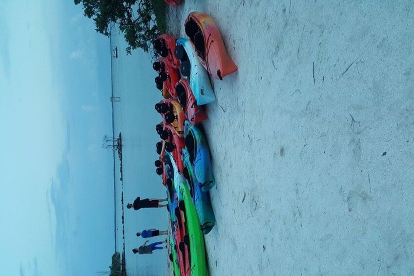 Una hilera de kayaks de colores alineados en una playa arenosa, con montañas al fondo. 3