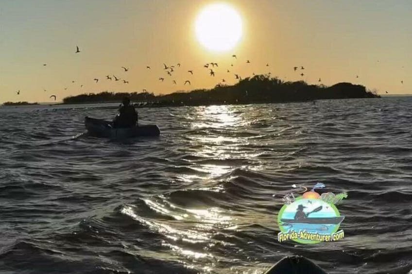 A sunset over water with a boat and birds. 4