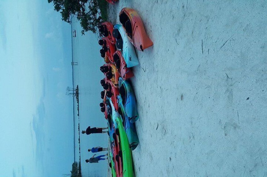 A row of colorful kayaks lined up on a sandy beach with a mountain in the background. 5