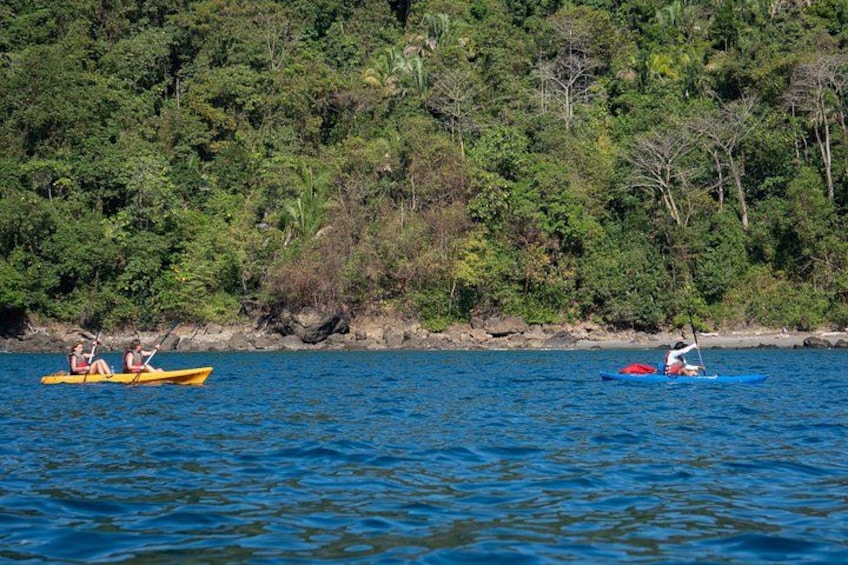 Deux kayaks sur une étendue d’eau calme, avec une rive boisée en arrière-plan. 3
