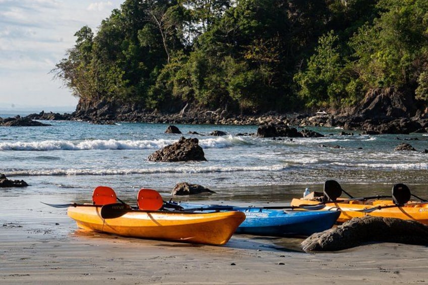 Deux kayaks sur une plage de sable, avec des affleurements rocheux et une falaise boisée en arrière-plan. 2
