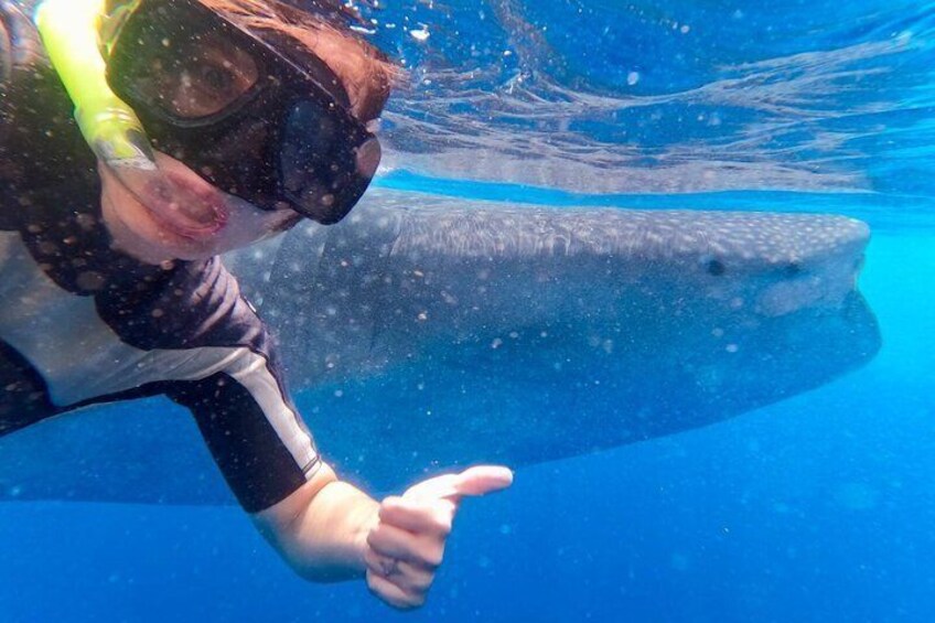 Whale Shark Tour from Cancun and Playa Del Carmen 5